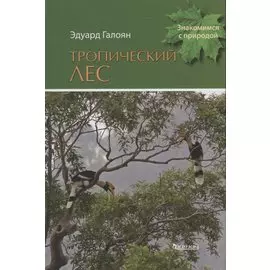 Тропический лес