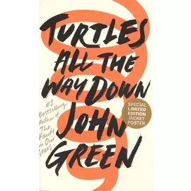 Turtles All the Way Down