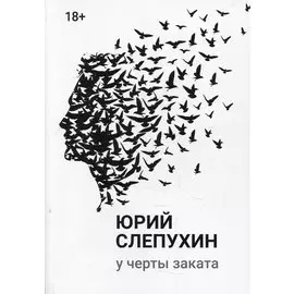 У черты заката: роман