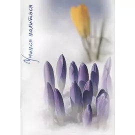 Учимся молиться. Краткий молитвослов для начинающих