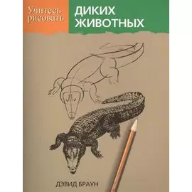 Учитесь рисовать диких животных