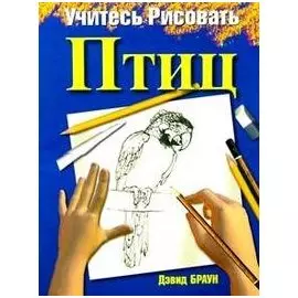 Учитесь рисовать птиц