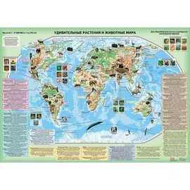Удивительные растения и животные мира