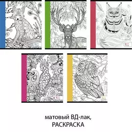 Удивительные животные А5, 96л. ТЕТРАДИ А5 (*скрепка) 96Л. (интерактив)