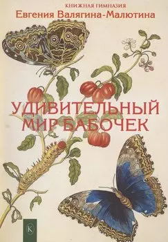 Удивительный мир бабочек