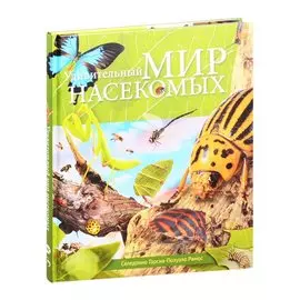 Удивительный мир насекомых
