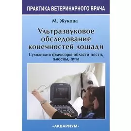 Ультразвуковое Обследование конечностей лошади