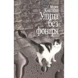 Улица без фонаря