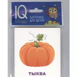 Умный малыш. Что растёт на грядке?