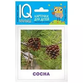 Умный малыш. Деревья