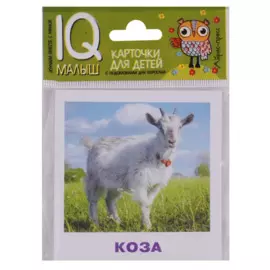 Умный малыш. Домашние животные