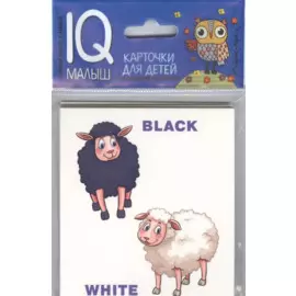 Умный малыш. ENGLISH. Противоположности.