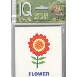 Умный малыш. ENGLISH. Растения