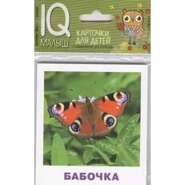 Умный малыш. Насекомые