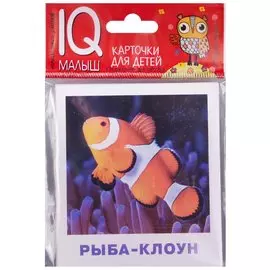 Умный малыш. Обитатели морей и океанов