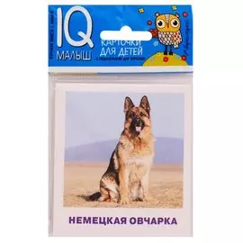 Умный малыш. Породы собак. Набор карточек для детей