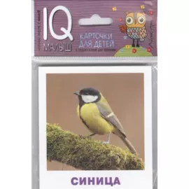 Птицы. Карточки для детей с подсказками для взрослых