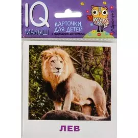 Умный малыш. Животные жарких стран. Набор карточек для детей.