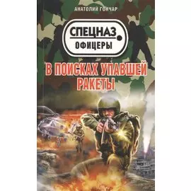 В поисках упавшей ракеты