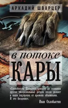 В потоке Кары