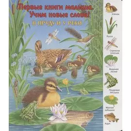 В пруду и у реки