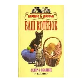 Ваш котенок. задор и обаяние.