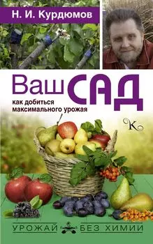 Ваш сад: как добиться максимального урожая