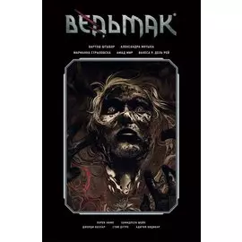 Ведьмак. Библиотечное издание. Том 2