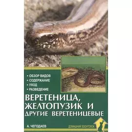 Веретеница, желтопузик и другие веретеницевые.
