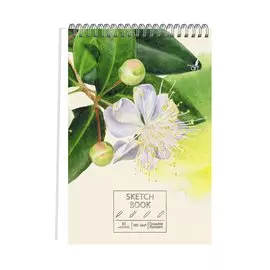 Скетчбук А5+ 30л "Весенние цветы" белый офсет, 180г/м2, евроспираль