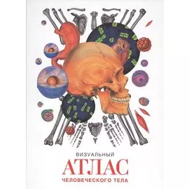 Визуальный атлас человеческого тела