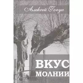 Вкус молнии. Рассказы