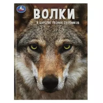 Волки. В царстве лесных охотников