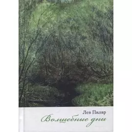 Волшебные дни. Сборник стихотворений