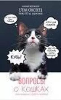 Вопросы о кошках. Самое интересное о пушистых любимцах