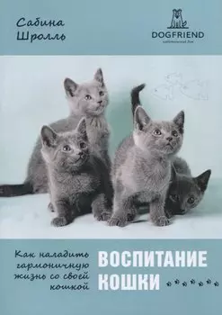 Воспитание кошки. Как наладить гармоничную жизнь со своей кошкой