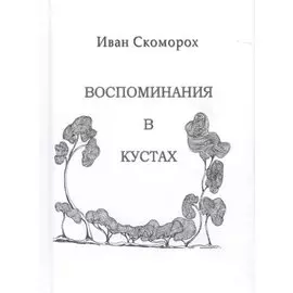 Воспоминания в кустах