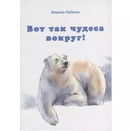 Вот так чудеса вокруг!