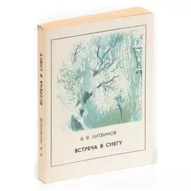 Встреча в снегу