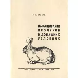 Выращивание кроликов в домашних условиях
