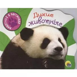 Дикие животные