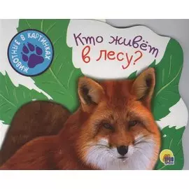 Кто живет в лесу