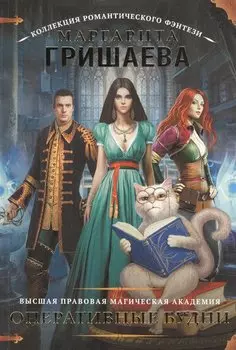 Высшая правовая магическая академия. Оперативные будни