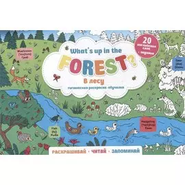 What`s up in the forest / В лесу. Гигантская раскраска-обучалка. 20 английских слов + задание. Раскрашивай. Читай. Запоминай