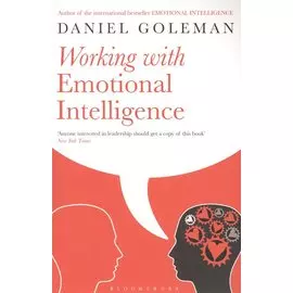 Working with Emotional Intelligence