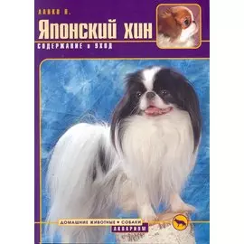 Японский хин. Содержание и уход
