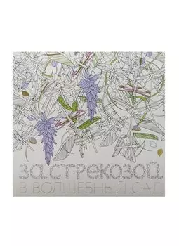 За стрекозой в волшебный сад