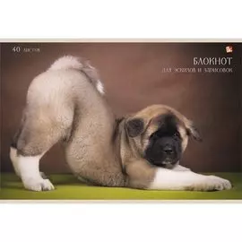 Забавный щенок АЛЬБОМЫ ДЛЯ РИСОВАНИЯ (*скрепка). 40 листов