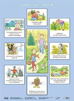 Зачем люди ходят в лес (Плакаты)