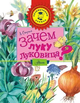 Зачем луку луковица?